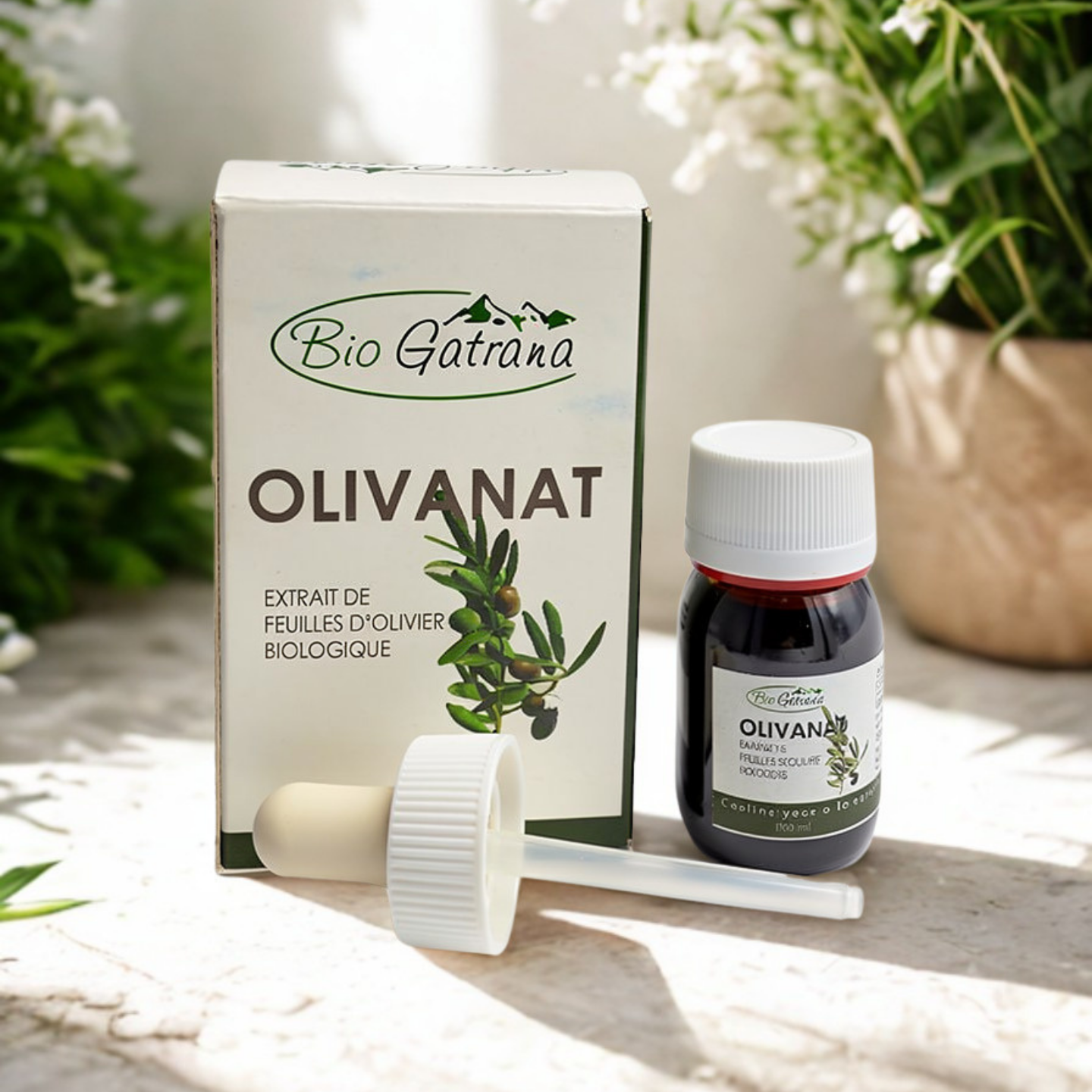 estratto di foglie di olivo biologiche